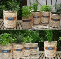 Coffee Cans used for gardening