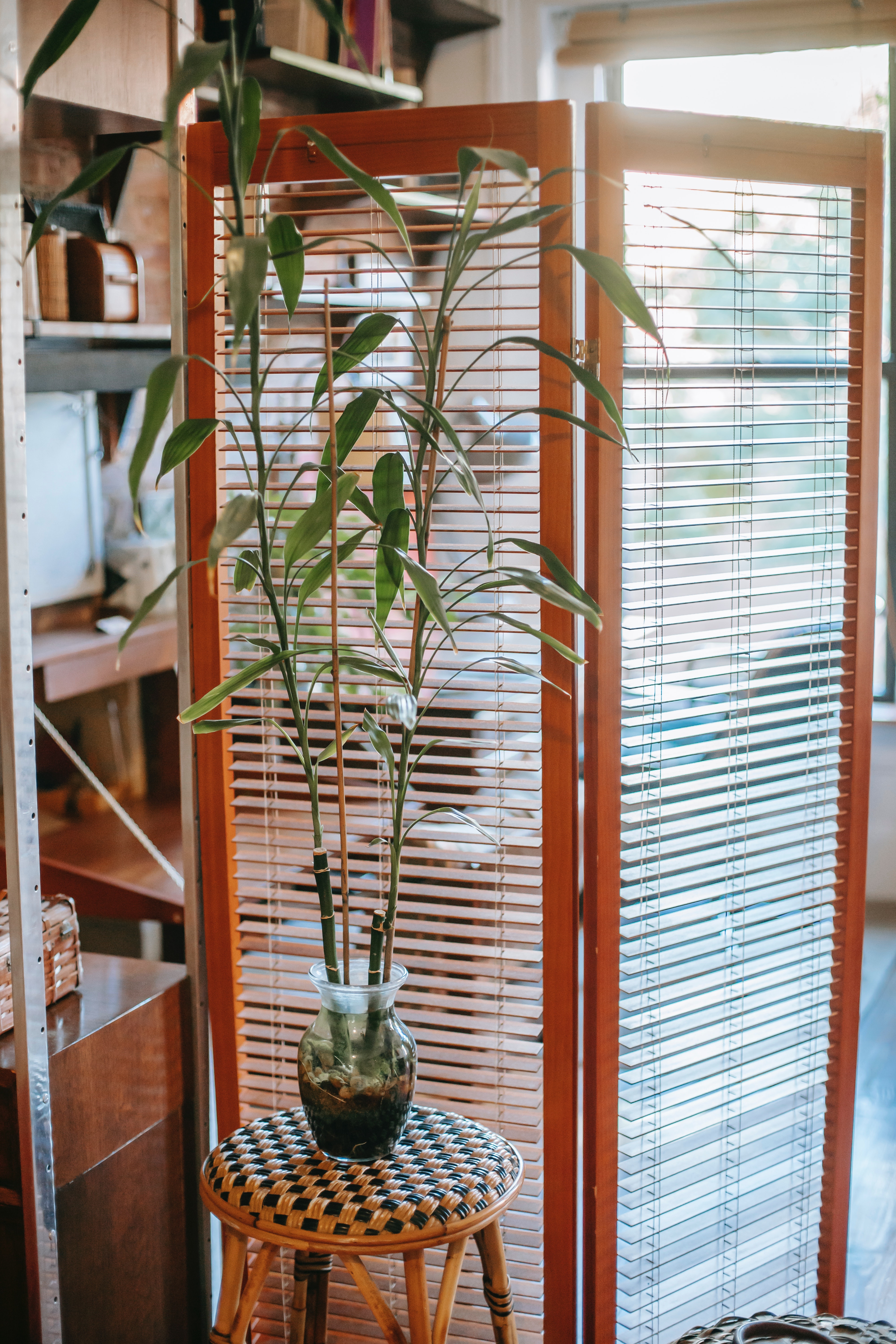 Curtains in guest room