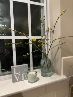 DIY ideas for creative vases