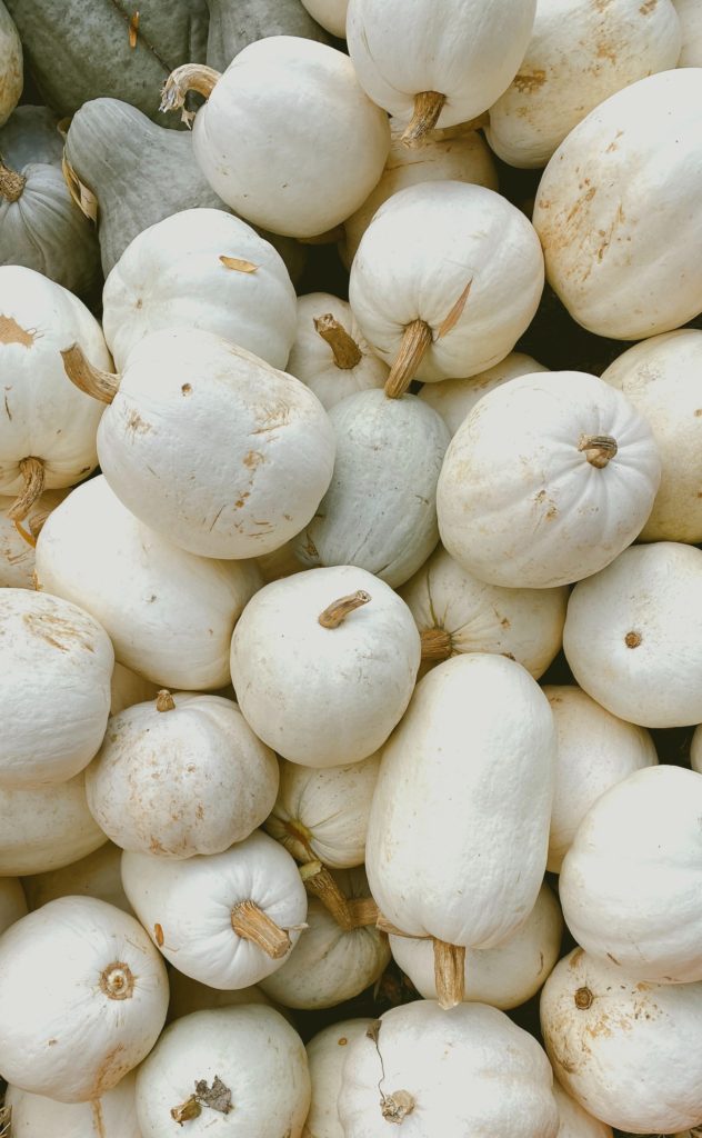 Loads of white pumpkins.