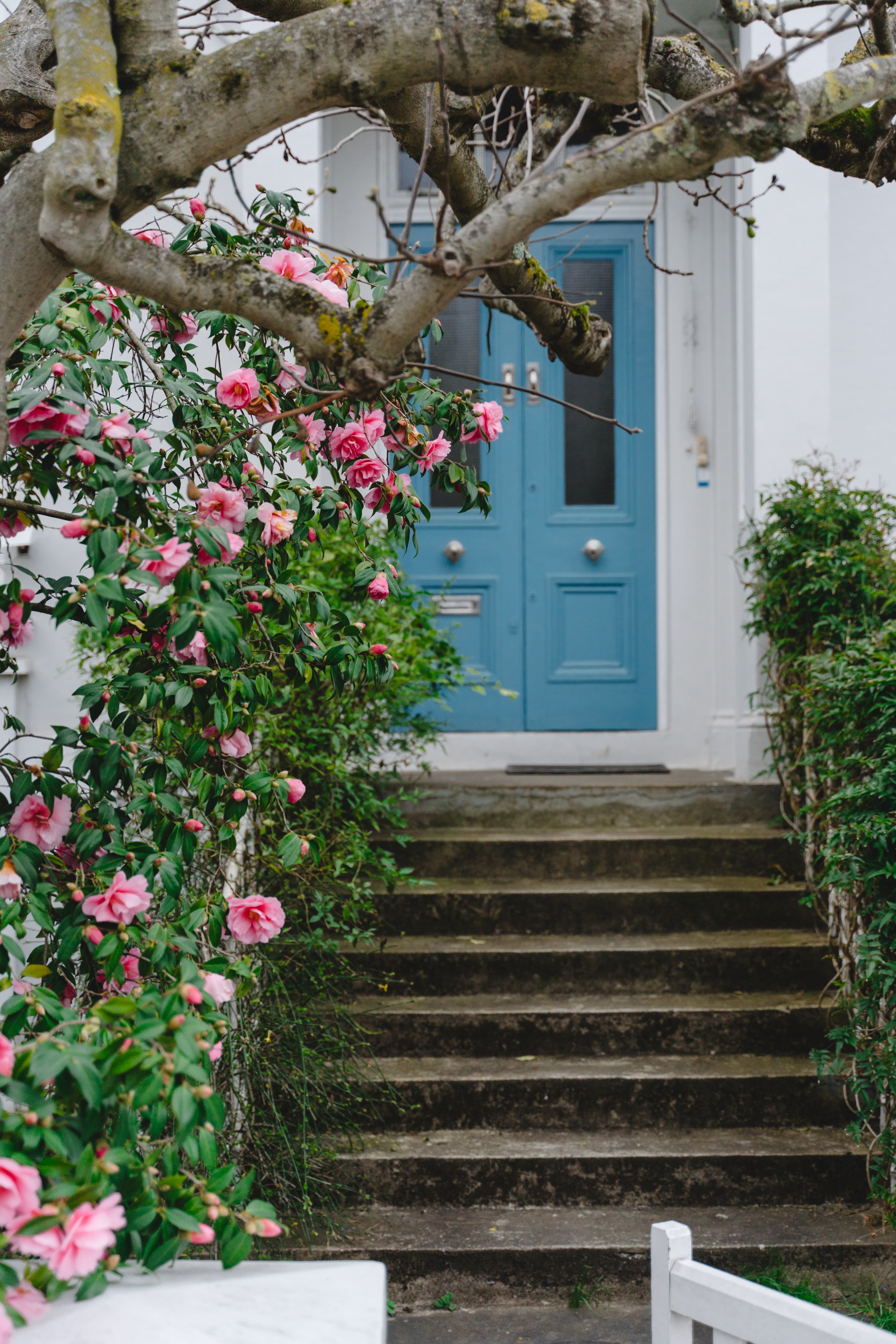 best color for front doors