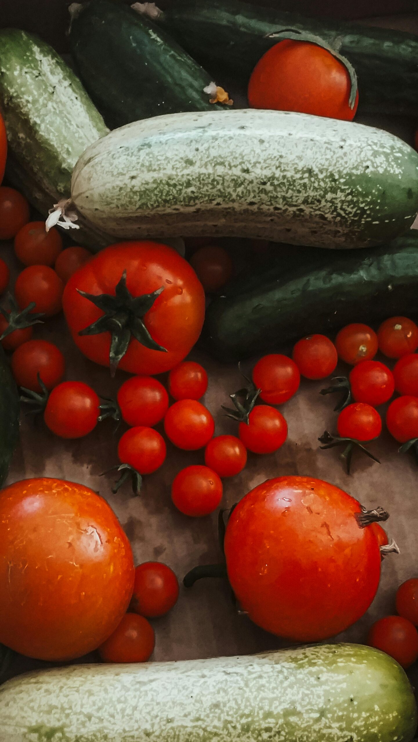 tomato cumber salad