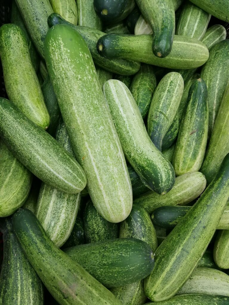 cucumbers in sour cream