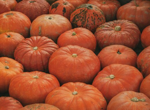 Fall comfort foods
