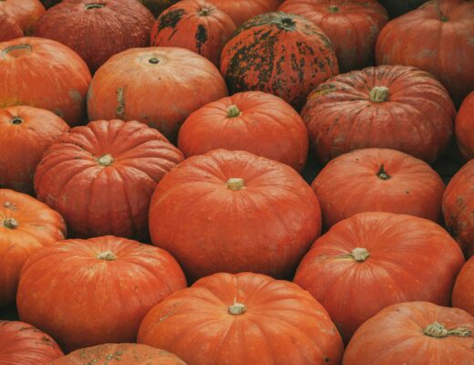 Fall comfort foods