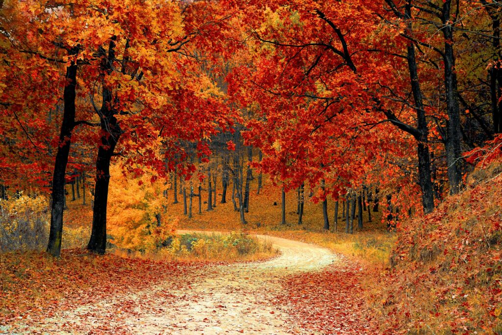 Fall great time to buy thrift
