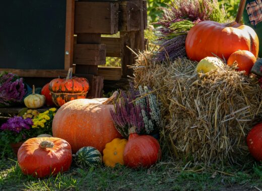 easy way to add Fall to your home