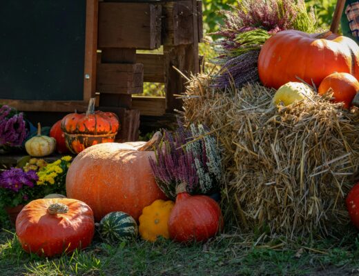 easy way to add Fall to your home