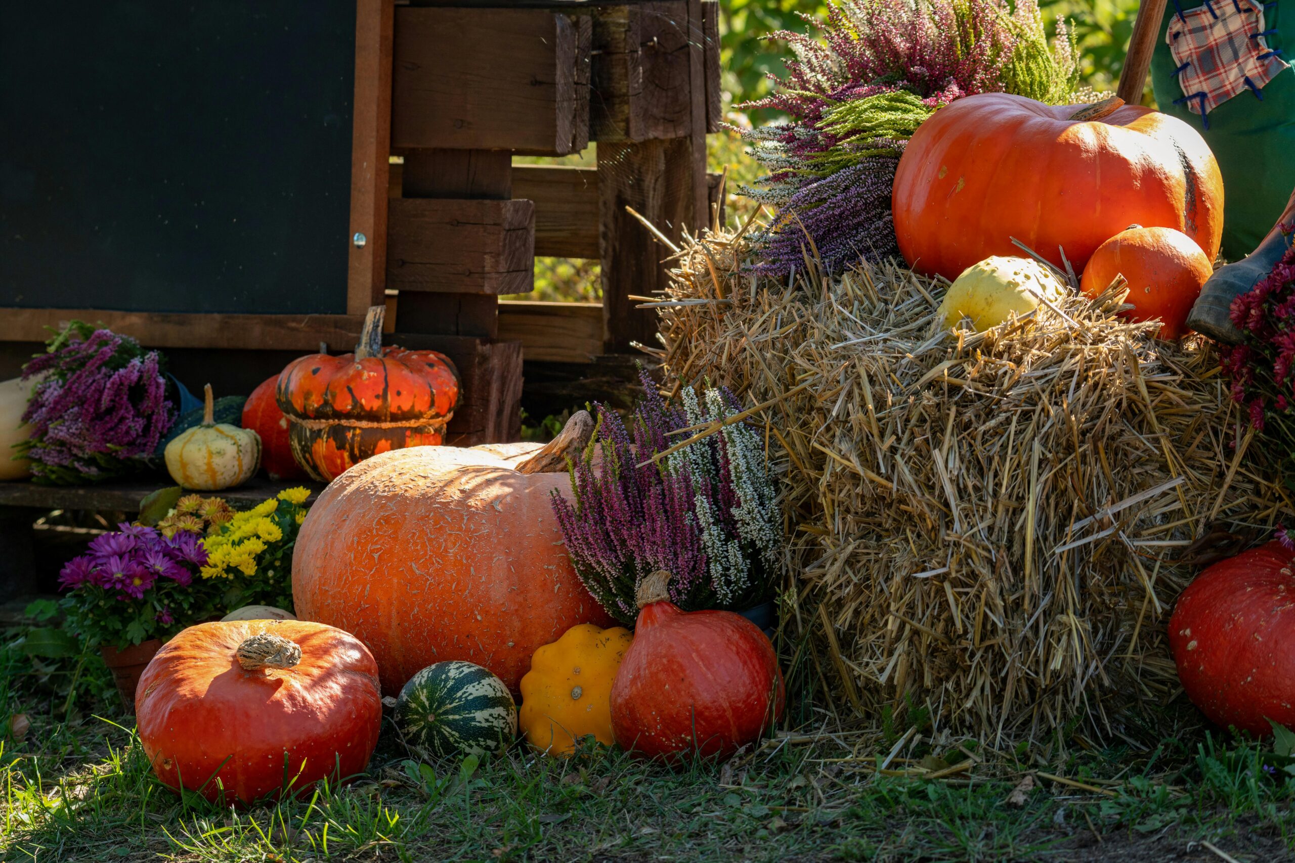 easy way to add Fall to your home