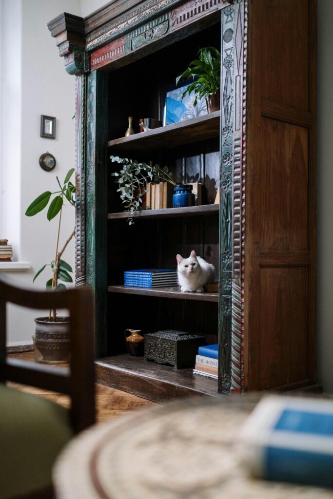 styling bookcases