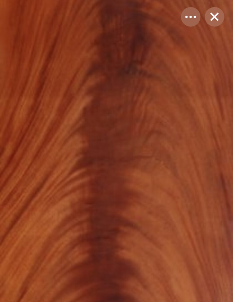 mahogany