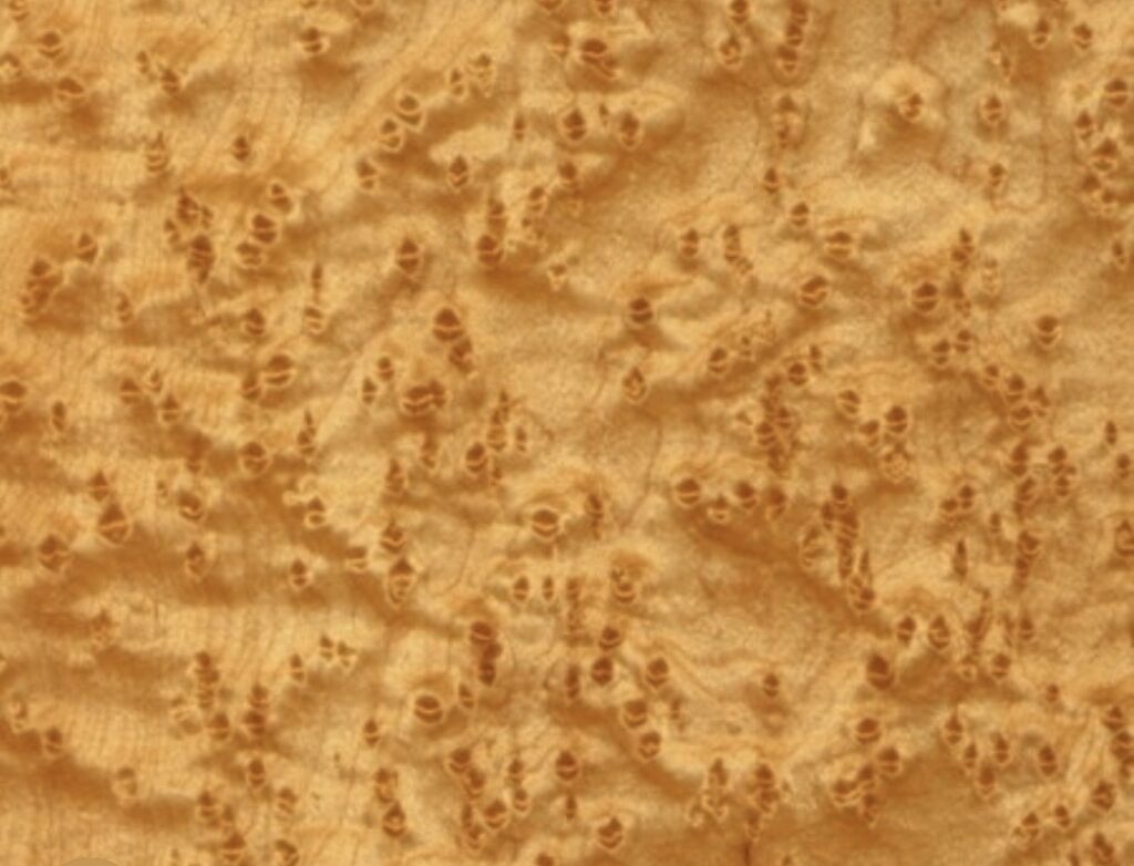 bird's eye maple