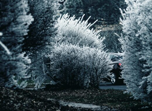 stay warm with thrift items