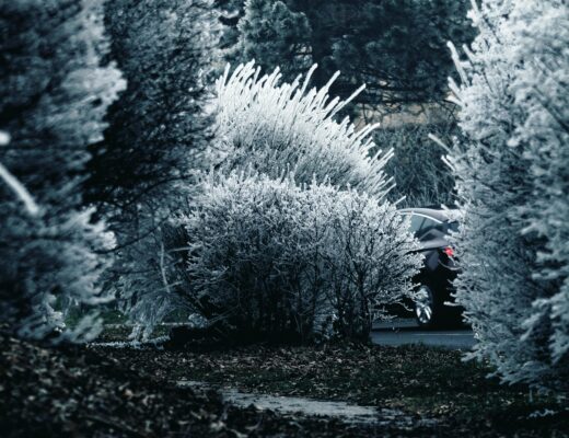 stay warm with thrift items