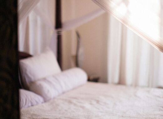 canopy beds are back in style