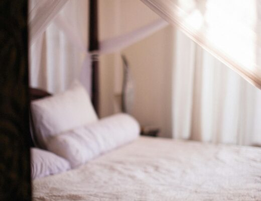 canopy beds are back in style