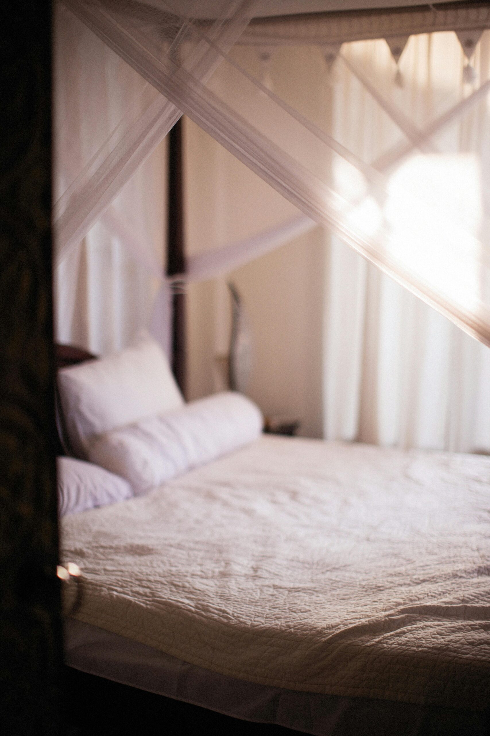 canopy beds are back in style