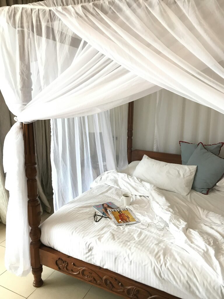 Canopy beds back in fashion