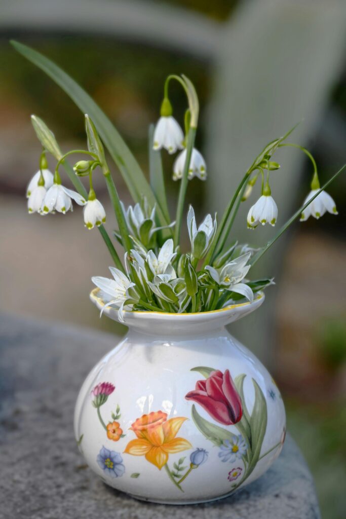 thrift buys spring