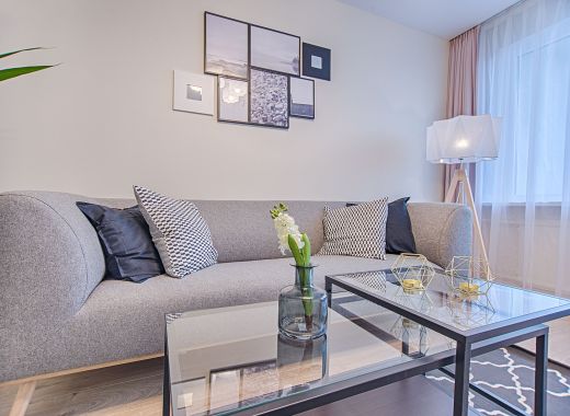 transition from gray to neutral